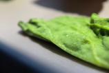 HUAWEI-Pura-80-Pro-Mostre-food_011.jpg