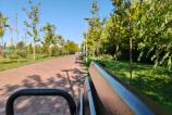 OPPO-Reno14-Mostre-Macro_004.jpg
