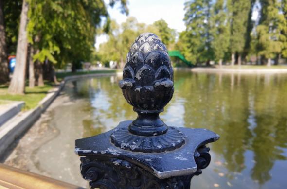 Motorola One Action - Mostre Foto (ziua): IMG_20190830_163653047_PORTRAIT.jpg