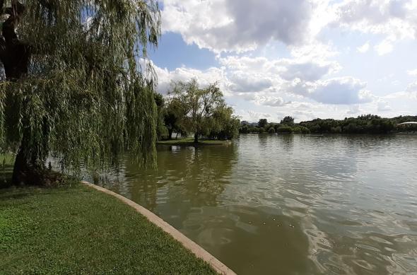 Samsung Galaxy A20e - Mostre Foto (ziua): 20190712_163929.jpg
