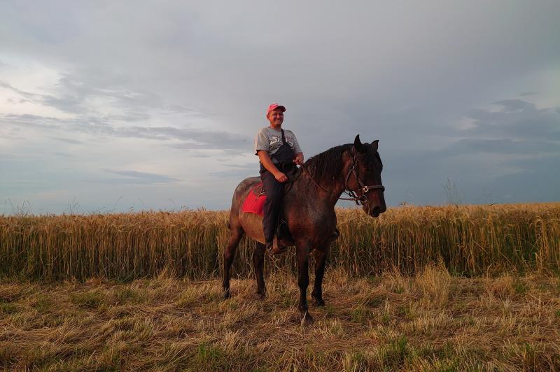 Sony Xperia 1 - Mostre Foto (ziua): DSC_0331.JPG