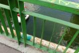 WP_20160912_15_18_22_Pro.jpg