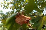 WP_20160912_15_24_03_Pro.jpg
