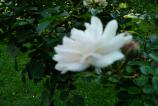 WP_20160912_15_30_52_Pro.jpg