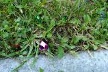 WP_20160912_15_30_58_Pro.jpg