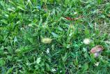 WP_20160912_15_31_06_Pro.jpg