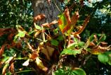 WP_20160912_15_38_35_Pro.jpg