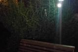 WP_20160907_00_25_49_Pro.jpg