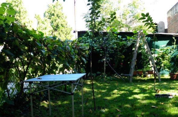 Acer Liquid Jade Primo - Mostre Foto (ziua): WP_20160902_15_34_10_Pro.jpg