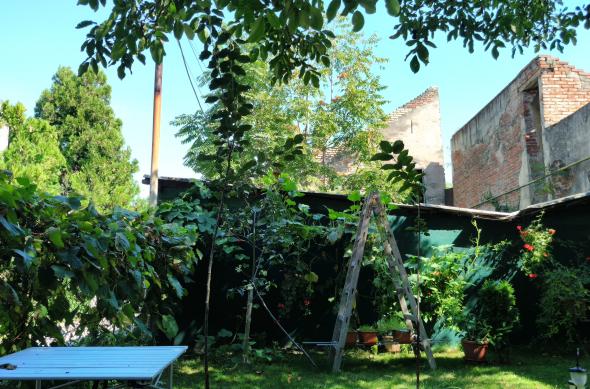 Acer Liquid Jade Primo - Mostre Foto (ziua): WP_20160902_15_35_43_Pro.jpg