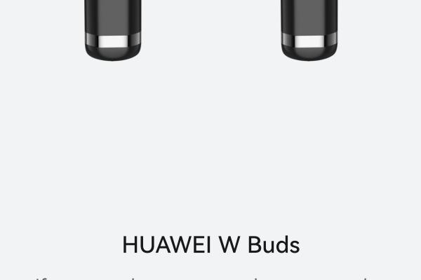 HUAWEI Watch Buds - Capturi aplicație