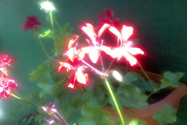 Mostre foto Acer Switch 3