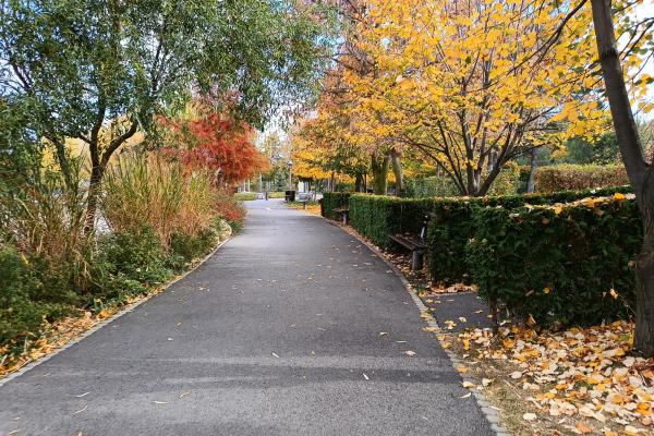 Motorola Moto G72 - Mostre foto