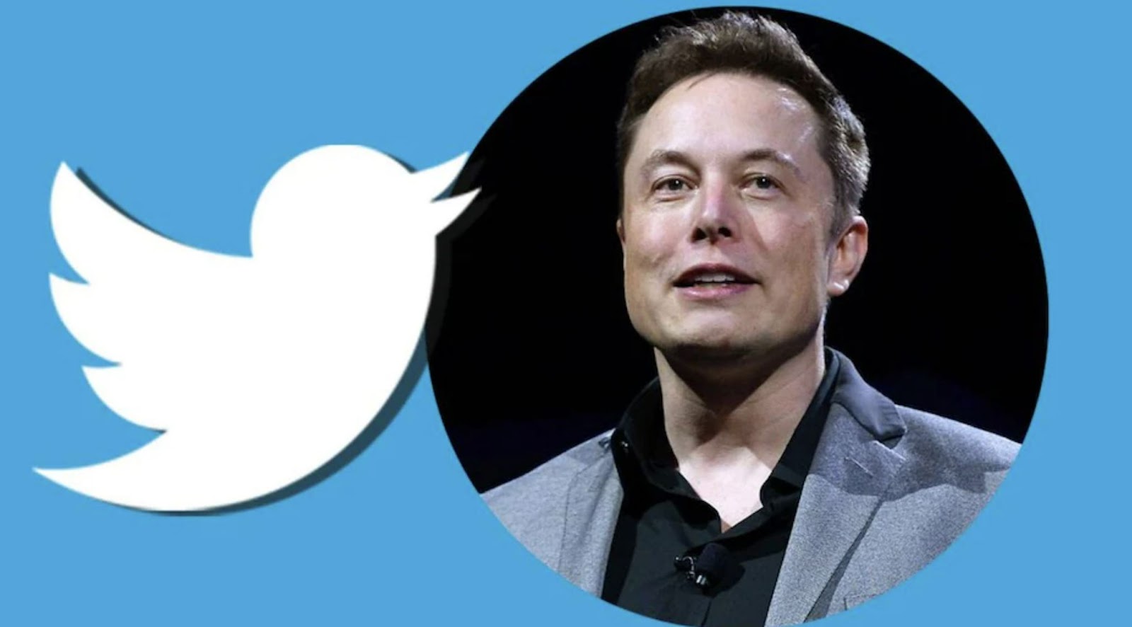 Elon Musk Concediază Jumătate Dintre Angajaţii Twitter; Aceştia Dau în ...