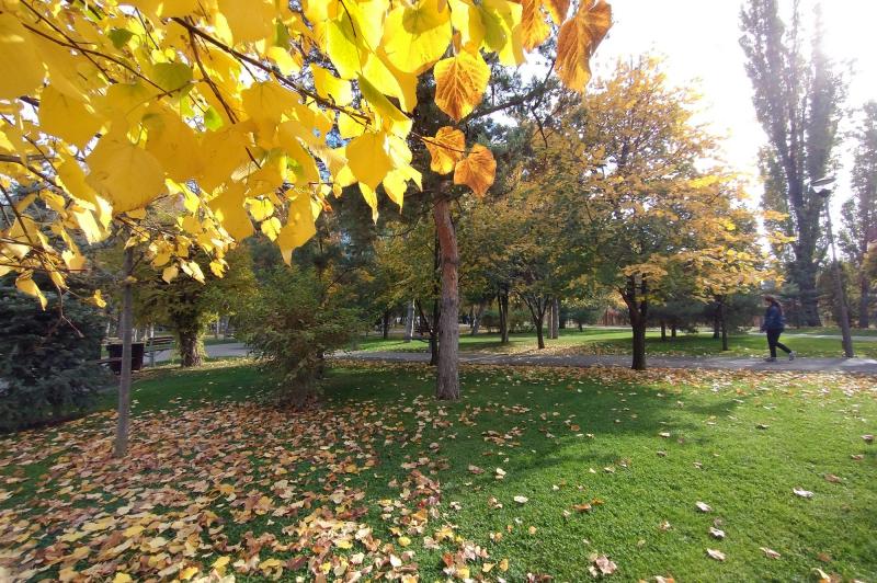 Motorola Moto G32 - Mostre foto: Moto-G32-Camera-Sample_005.jpg