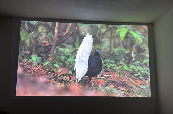 Epson Lifestudio Flex (EF-72) - Imagine 4K: Photo 19.01.2026, 18 43 53.jpg