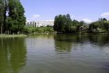 Allview-A5-Smiley-Mostre-foto-ziua_024.jpg