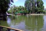 Allview-A5-Smiley-Mostre-foto-ziua_023.jpg