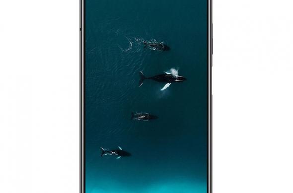 Honor V30 Pro - Fotografii oficiale: Honor-V30-Pro_015.jpg