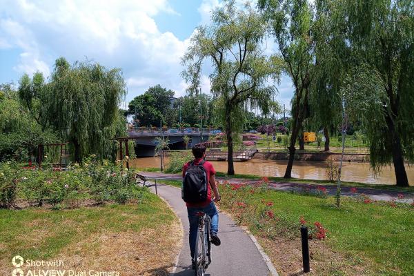 Allview Soul X6 Xtreme - Mostre Foto (ziua)