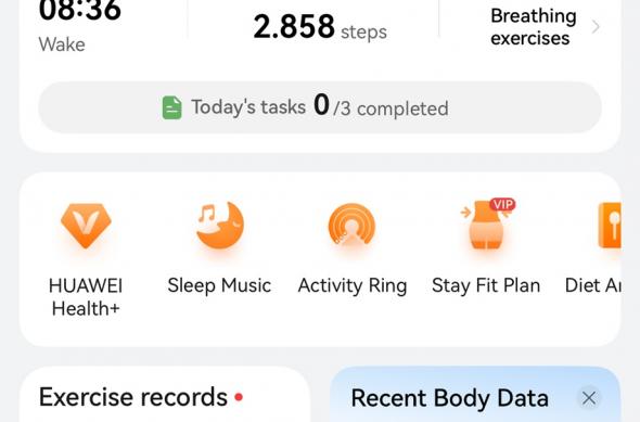 Aplicație HUAWEI Health (Europe) - Band 11 Pro: img014.jpg