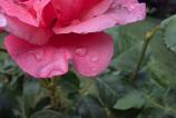 Samsung-Galaxy-Z-Fold7-Mostre-macro_011.jpg
