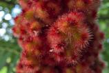 Samsung-Galaxy-Z-Fold7-Mostre-macro_005.jpg