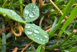 Samsung-Galaxy-Z-Fold7-Mostre-macro_015.jpg