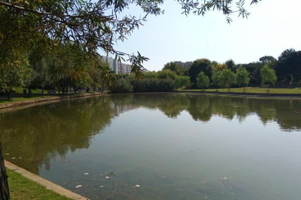 Bluboo S1 - Mostre Foto (ziua)