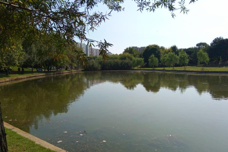 Bluboo S1 - Mostre Foto (ziua): IMG_20170831_133920.jpg