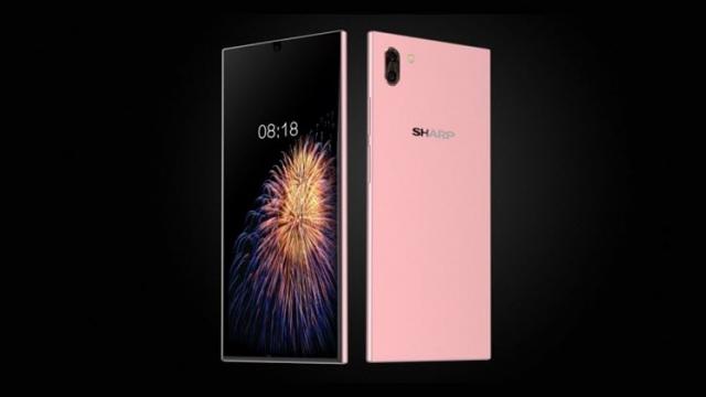 <b>Sharp pregătește noi telefoane cu muchii ultrasubțiri, modelele Sharp FS8010 și FS8016; Vor sosi pe 17 iulie</b>Compania ce a dat startul trendului telefoanelor cu muchii ultrasubțiri în jurul panourilor de ecran nu a fost Xiaomi, ci Sharp, producător care a adus pe piață câteva modele de genul din seria Aquos. Astăzi aflăm că firma japoneză pregătește 