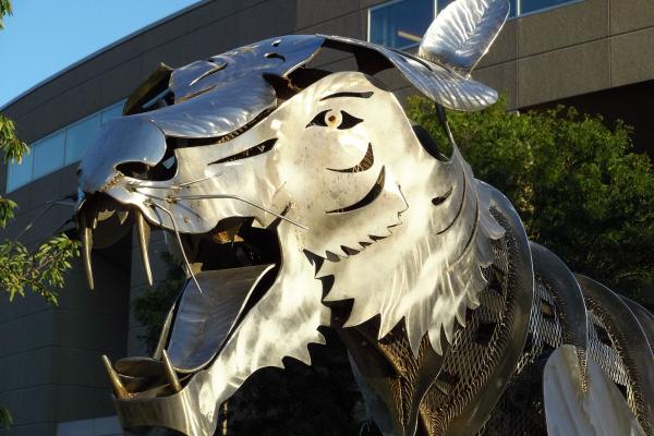 Mostre foto Motorola Moto Z plus Hasselblad True Zoom