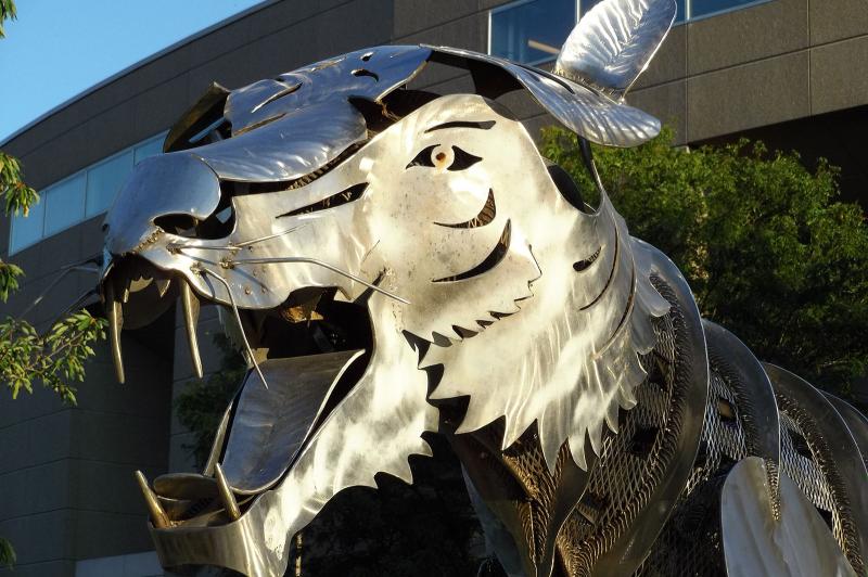 Mostre foto Motorola Moto Z plus Hasselblad True Zoom: Hasselblad-True-Zoom-image-gallery (72).jpg