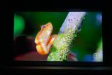 Samsung-The-Serif-2022-Noapte_051.jpg