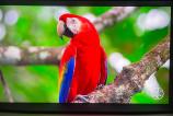 Samsung-The-Serif-2022-Noapte_033.jpg