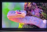 Samsung-The-Serif-2022-Noapte_047.jpg