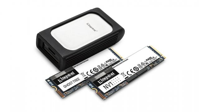 <b>CES 2021: Kingston a prezentat noua gamă de SSD-uri NVMe - Ghost Tree, NV Series, XS2000 și DC1500M</b>Kingston a anunțat astăzi noua gamă de SSD-uri NVMe. Aceasta cuprinde atât unități pentru utilizatorii obișnuiți, cât și unități U.2 NVMe, destinate centrelor de date. Avem și primele SSD-uri PCIe NVMe Gen 4.0 ale companiei, dar și un SSD extern USB 3.2 G