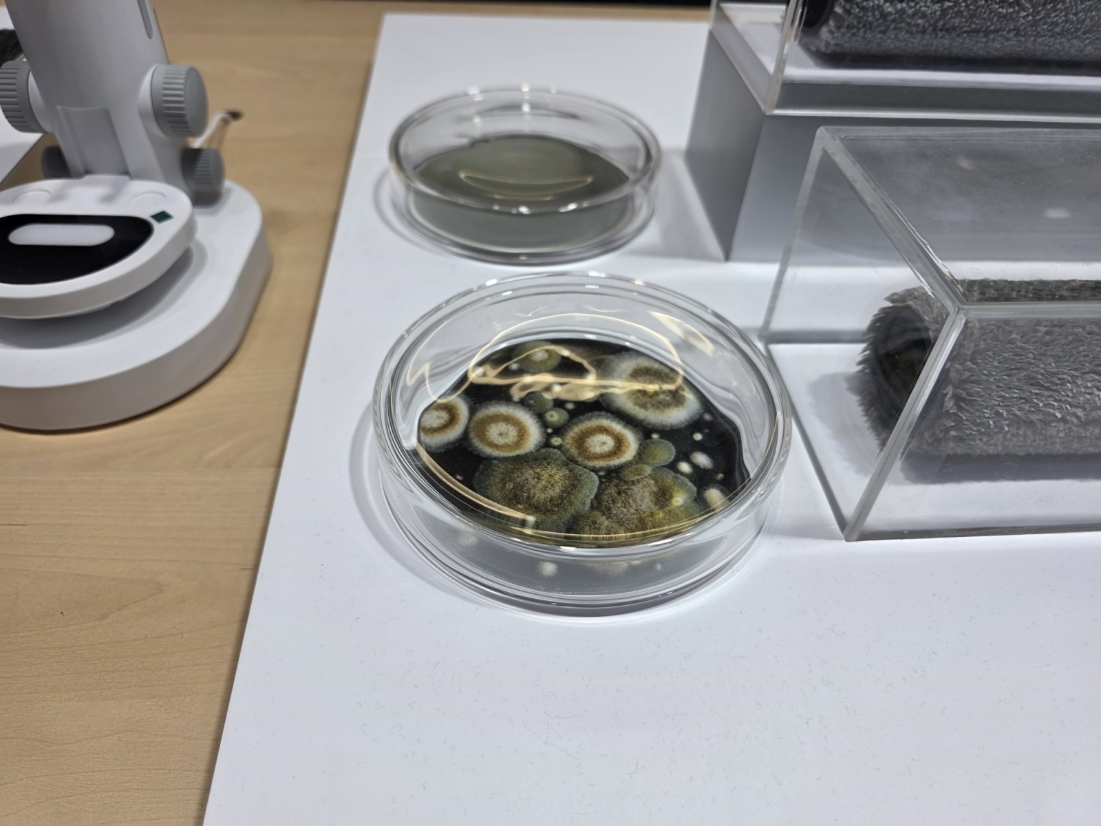 Ce se ascunde în covorul tău? Anker eufy răspunde cu 35.000 Pa și filtrare AeroTurbo 2.0