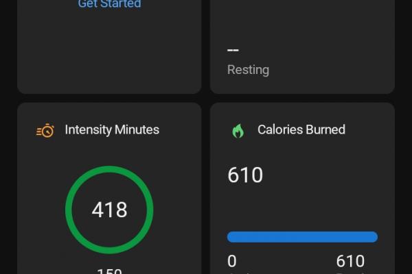 Garmin Enduro 3 - Aplicația Garmin Connect