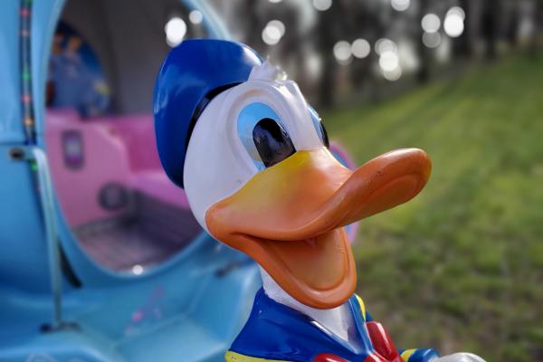 ASUS ROG Phone II - Mostre Foto (bokeh)