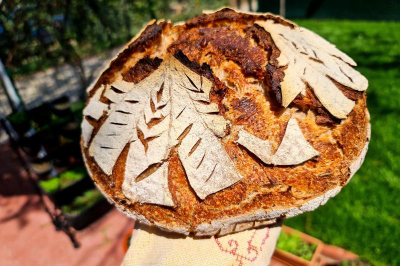 Poze gătit realizate cu Samsung Galaxy S20 Ultra (food blogging/vlogging): 20200424_144448_01.jpg