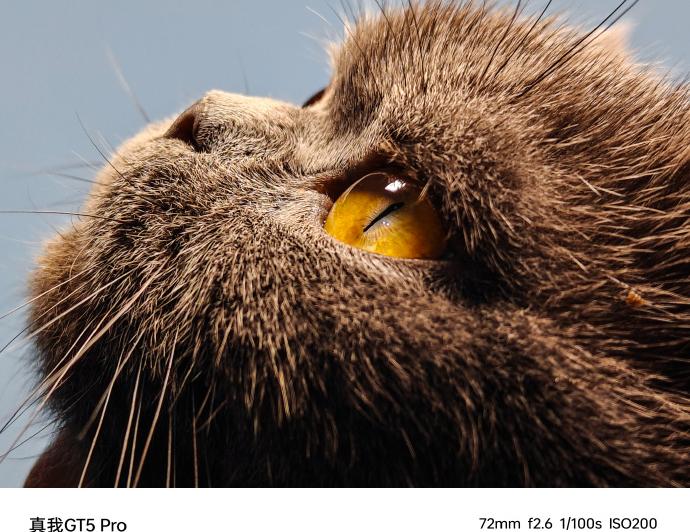 realme GT5 Pro - Mostre foto (Teaser): 4421815bgy1hkhrcypxjlj235s2pke84.jpg