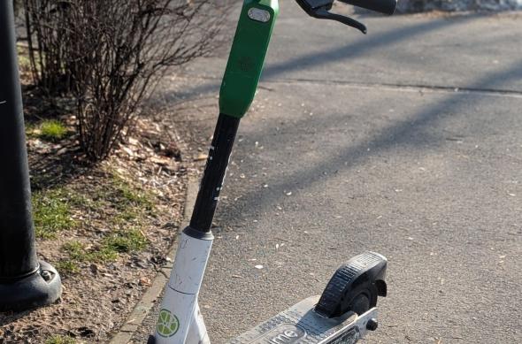 Google Pixel 10a - Mostre bokeh: Bokeh_ (5).jpg