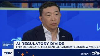 „Internetul e deja pierdut” - candidat prezidențial SUA; Andrew Yang crede că webul e deja poluat de agenți AI