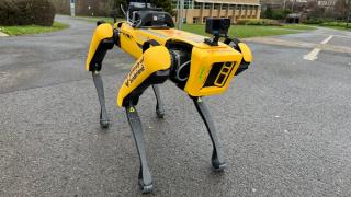 Roboții-câine ies din cușcă: livrările cresc cu 92,5%, iar industria începe să aducă banii