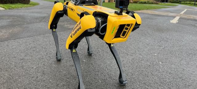 Roboții-câine ies din cușcă: livrările cresc cu 92,5%, iar industria începe să aducă banii