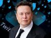 Twitter acceptă oferta de cumpărare a lui Elon Musk! Platforma de socializare ar putea fi vândută pentru 44 de miliarde de dolari