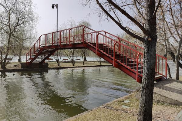 OnePlus 10 Pro - Mostre Foto (ziua)