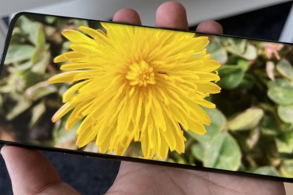 OPPO Find X5 Pro: Display foarte luminos, cu muchii înguste şi multe calibrări de culoare