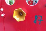 IMG_20171010_154747027_BURST000_COVER_TOP.jpg